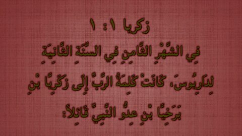 #٠٨١ هل كان زكريا ابن عِدّو أم حفيده؟