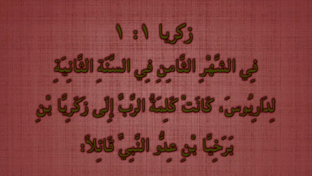 #٠٨١ هل كان زكريا ابن عِدّو أم حفيده؟