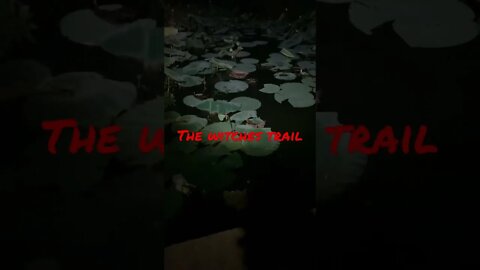 The witches trail dark water☠️