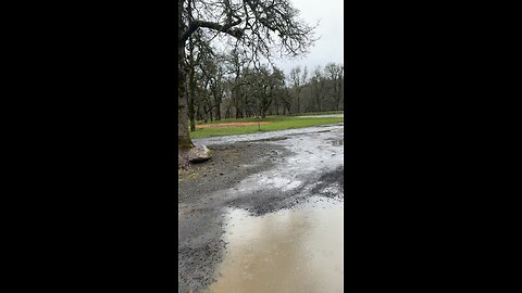 Yung Alone Reacts To Park Being Removed from childhood Park