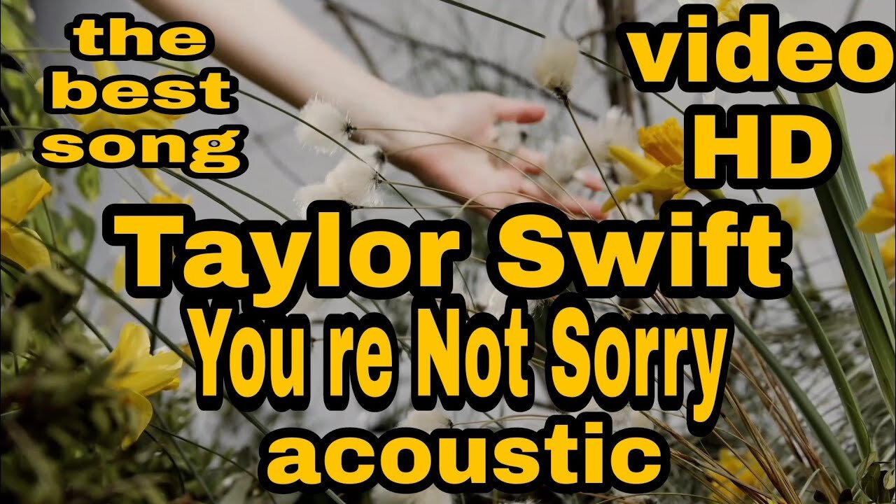 You're Not Sorry - Taylor Swift (acoustic)