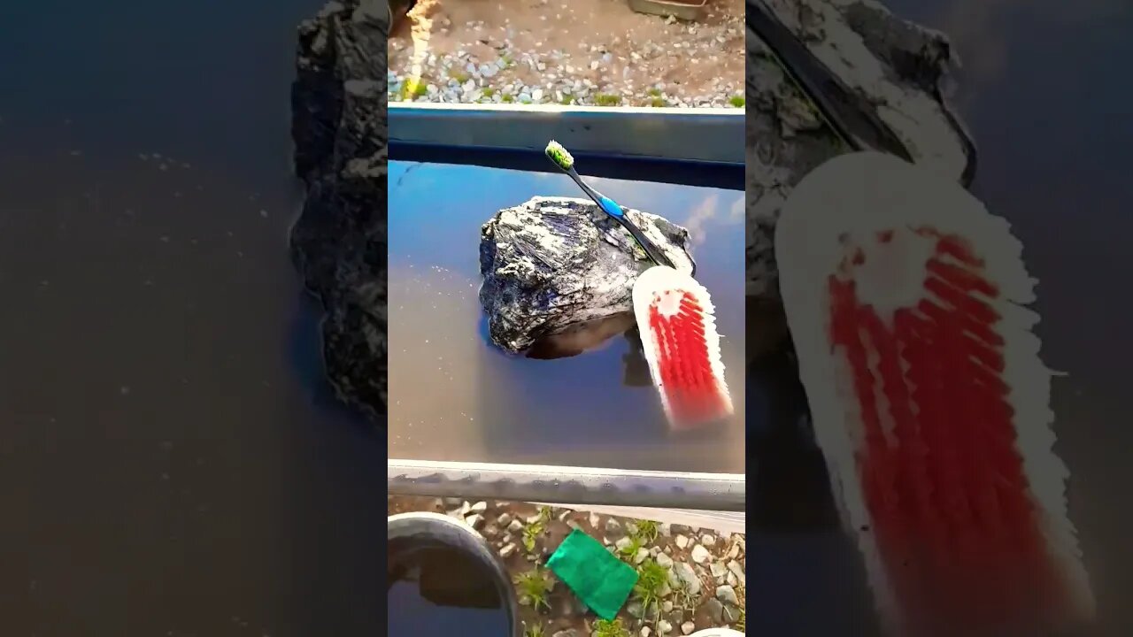 Cleaning an awesome chunk of black tourmaline #shorts #short #tourmaline #quartz