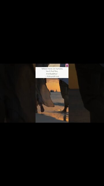 Wherever There Are Humans There Are Flies and Buddhas - Zen Quote - #shorts #meditation #relaxation