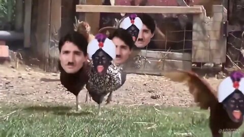 🐔💩TURDEAU💩🐔 😙