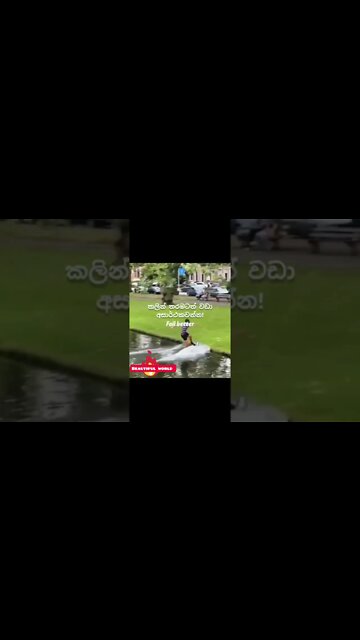 Never give up on anything (කිසිම දෙයක් කවදාවත් අතාරින්න එපා) #shorts