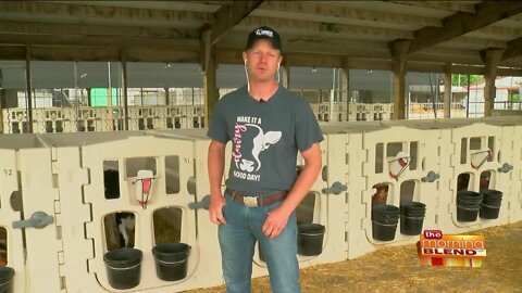 Celebrating Dairy Farmers All Month Long