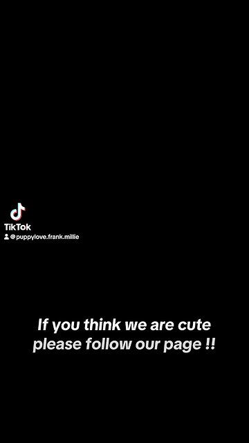 Cutest on YouTube and TikTok