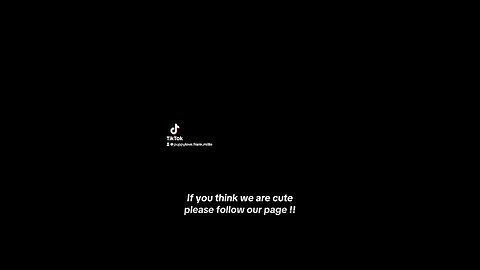 Cutest on YouTube and TikTok