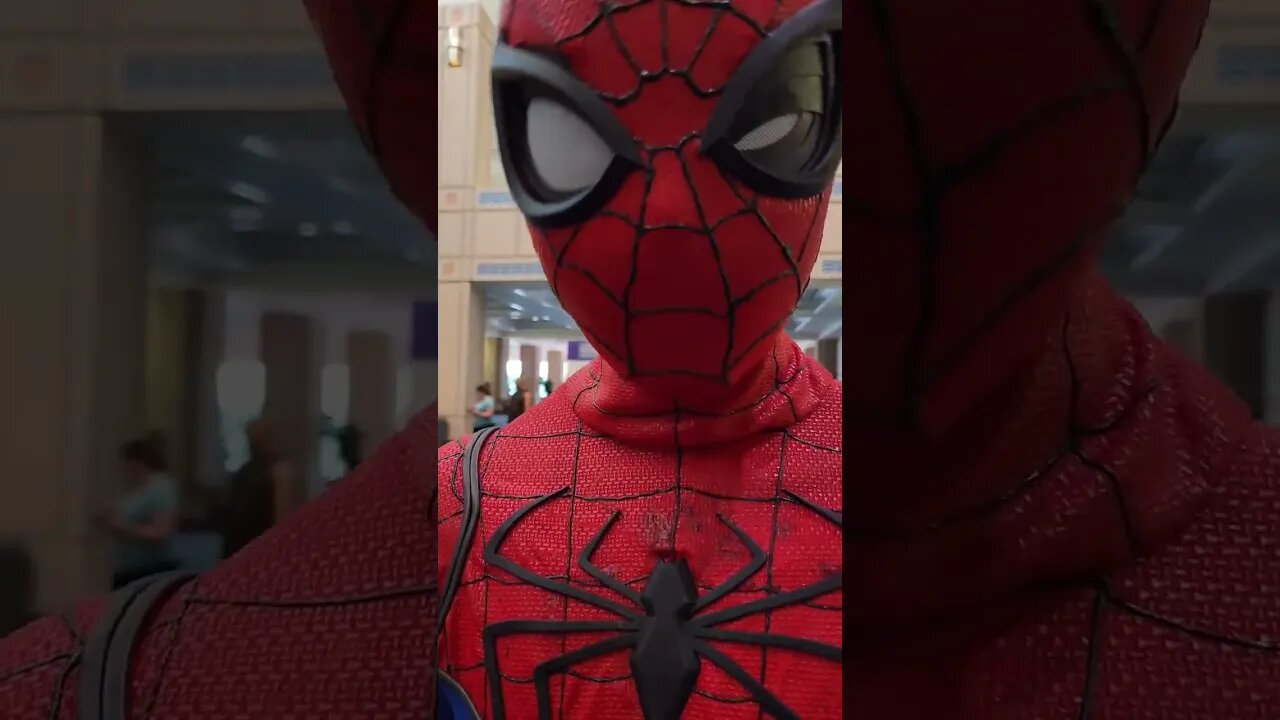 Spiderman 4K | Tampa Comic Con