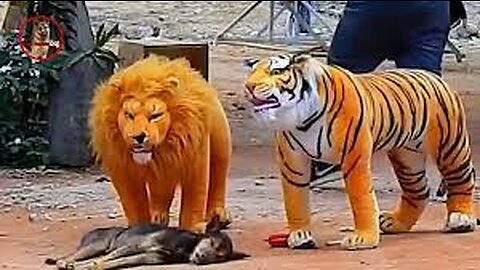 Funny & fake Lion and Fake Tiger Prank To dog