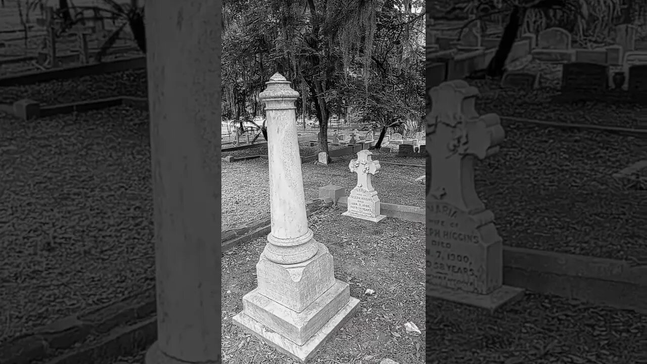 #taphophile #cemetery #headstone #tombstone #bellabosquecemetery