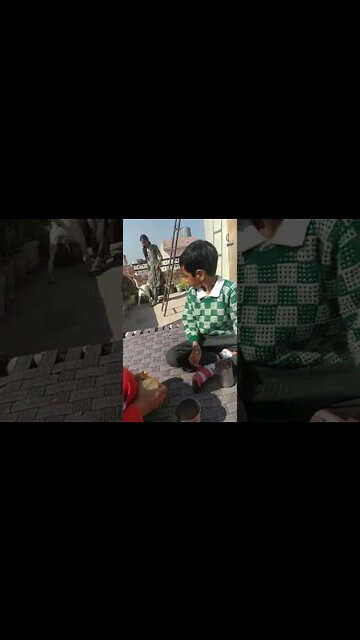 Lavi Navi and Naina Pet