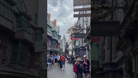 Dragon!!