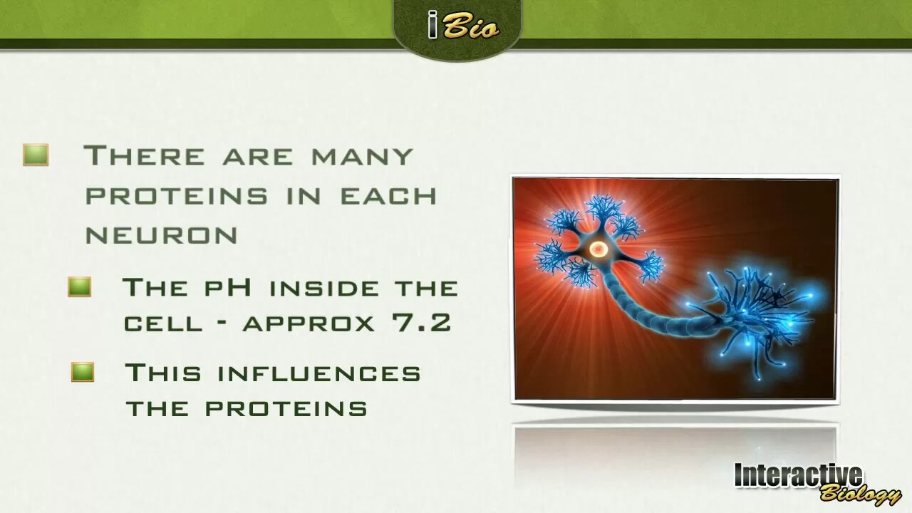 005 The Isoelectric Point of Proteins