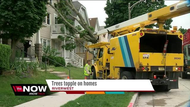 Tree topples on Riverwest homes