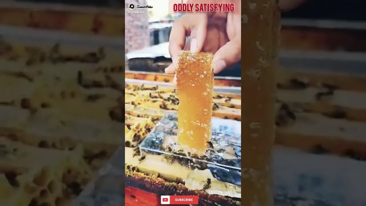 Best Oddly Satisfying Video for Stress Relief #Shorts #oddlysatisfying #asmr #honey #honeycomb