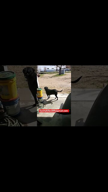 $100 Rockauto gift card give away! #short #shorts #shortvideo #shortsvideo #shortsfeed