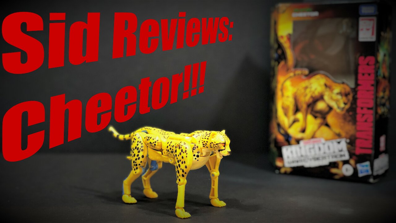 Transformers War for Cybertron - Kingdom Cheetor Review