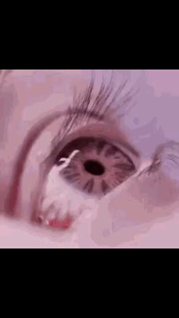 MY MINIONS COME IN MANY FORMS, GATHERING THE TRUTH IN ANY FORM THEY CAN