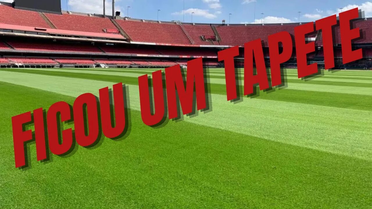 INCRIVEL - VEJA COMO FICOU O GRAMADO DO MORUMBI - ESTÁDIO SPFC