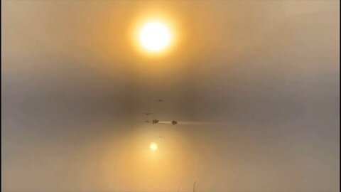 Birds coast over a serene lake shrouded in a golden haze