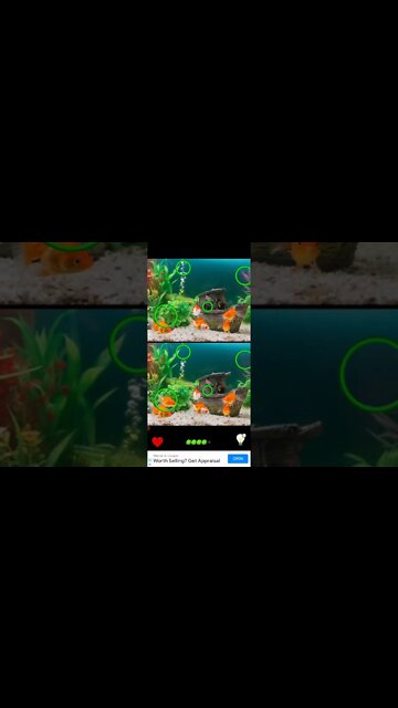 Find the Difference - Level 18