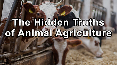 The Hidden Truths of Animal Agriculture