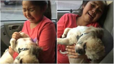 Menina fica desolada ao ver novo penteado do cão
