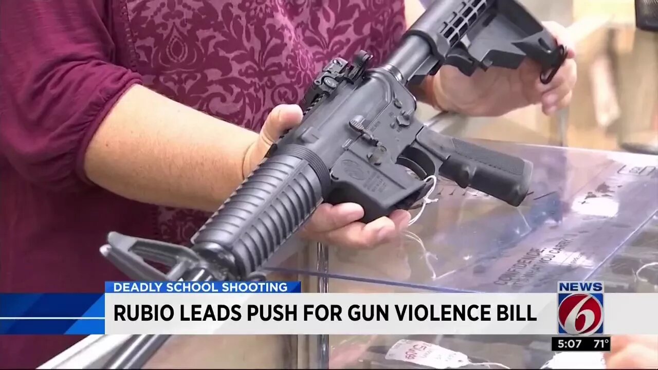 CBS Orlando: Rubio Leads Push for Gun Violence Bill