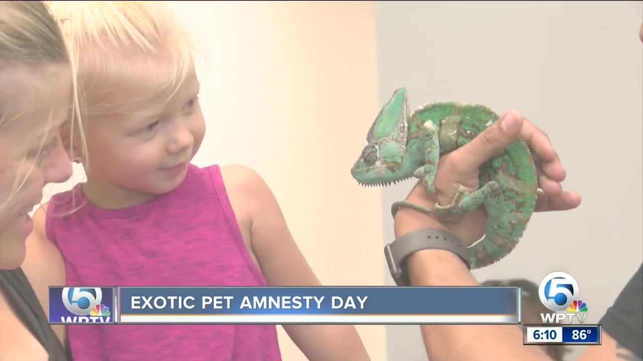 Exotic pet amnesty day held at South Florida Science Center and Aquarium