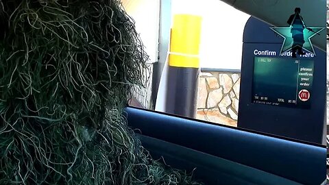 Trolling The McDonald's Drive Thru In A Ghillie Suit