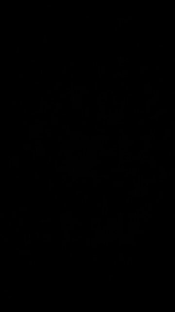 Attacking Trump from both sides