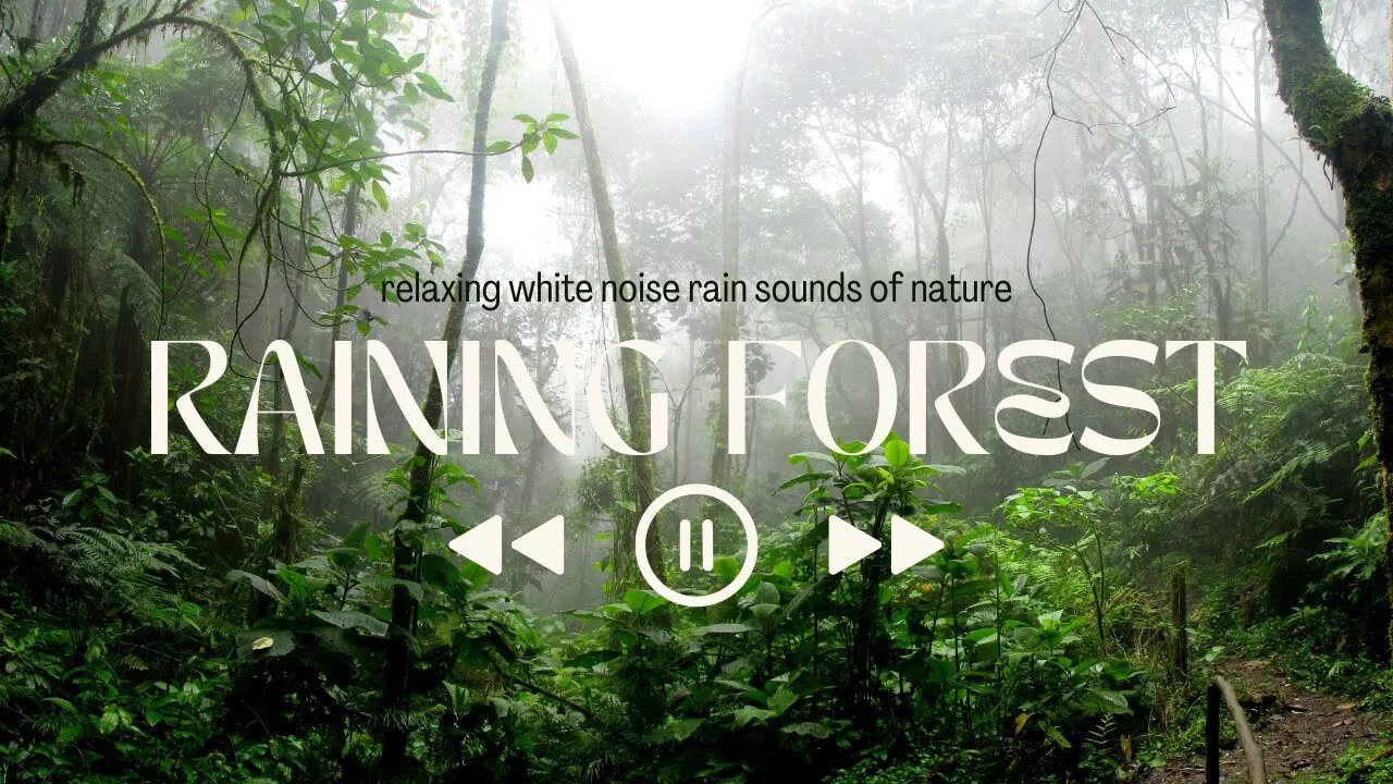 Tropical Forest Relaxing Nature Video