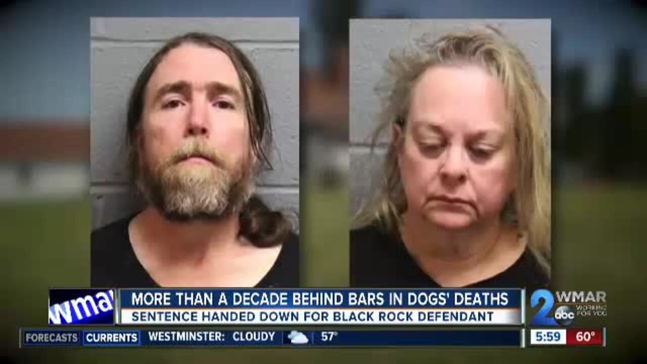 More than a decade behind bars in dogs' deaths