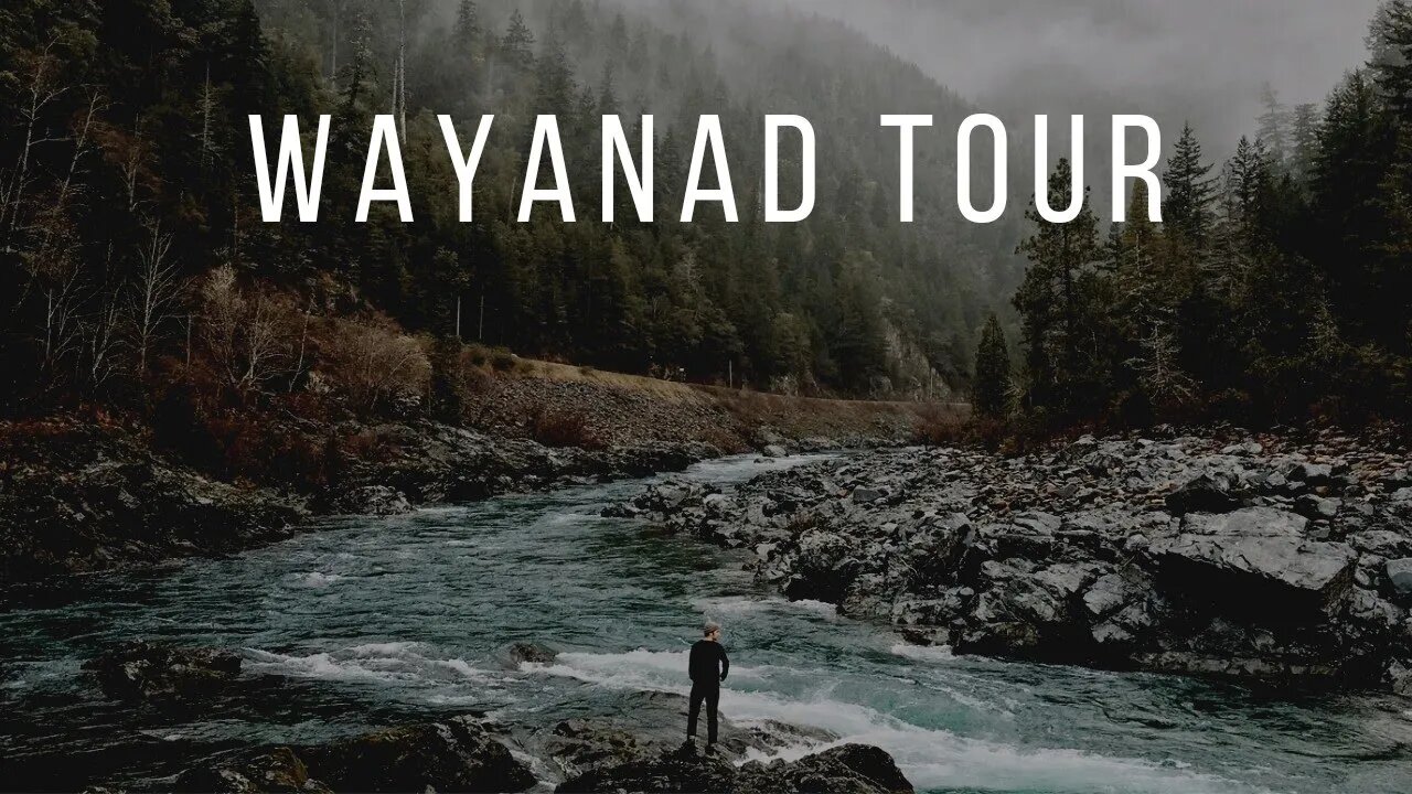 Wayanad tour vlog,travel,#wayanadvlog#