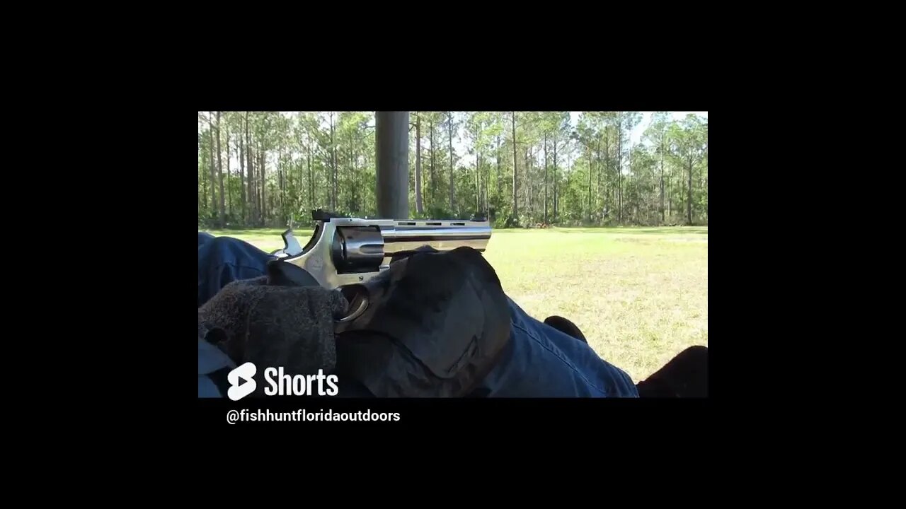 Big bore on steel targets