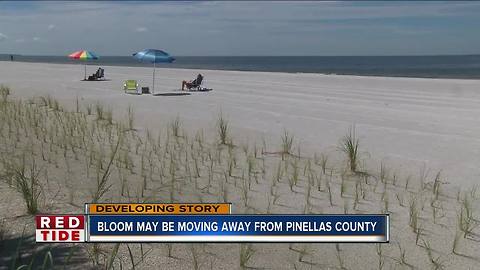 Red tide bloom may be moving away from Pinellas County