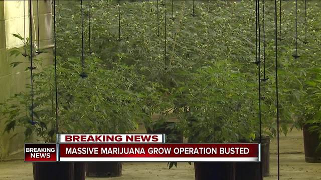 CPD shuts down marijuana operation on east side