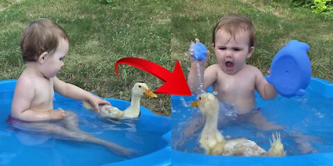 Funny Baby Reaction to Duckling in the Pool