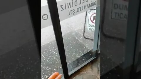Bird seeks refuge from hailstorm