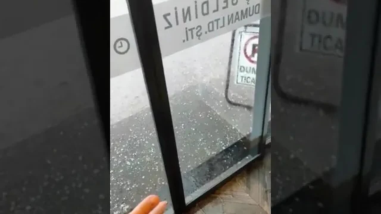 Bird seeks refuge from hailstorm