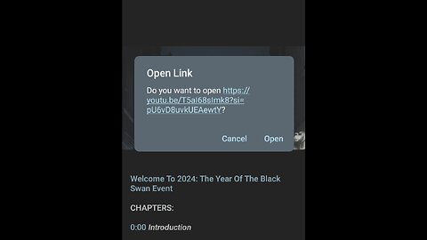 Documentary: 2024 the Year of Black Swan Events