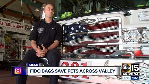 Dog rescued from Mesa house fire