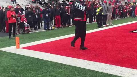 LeBron James attends Ohio State game