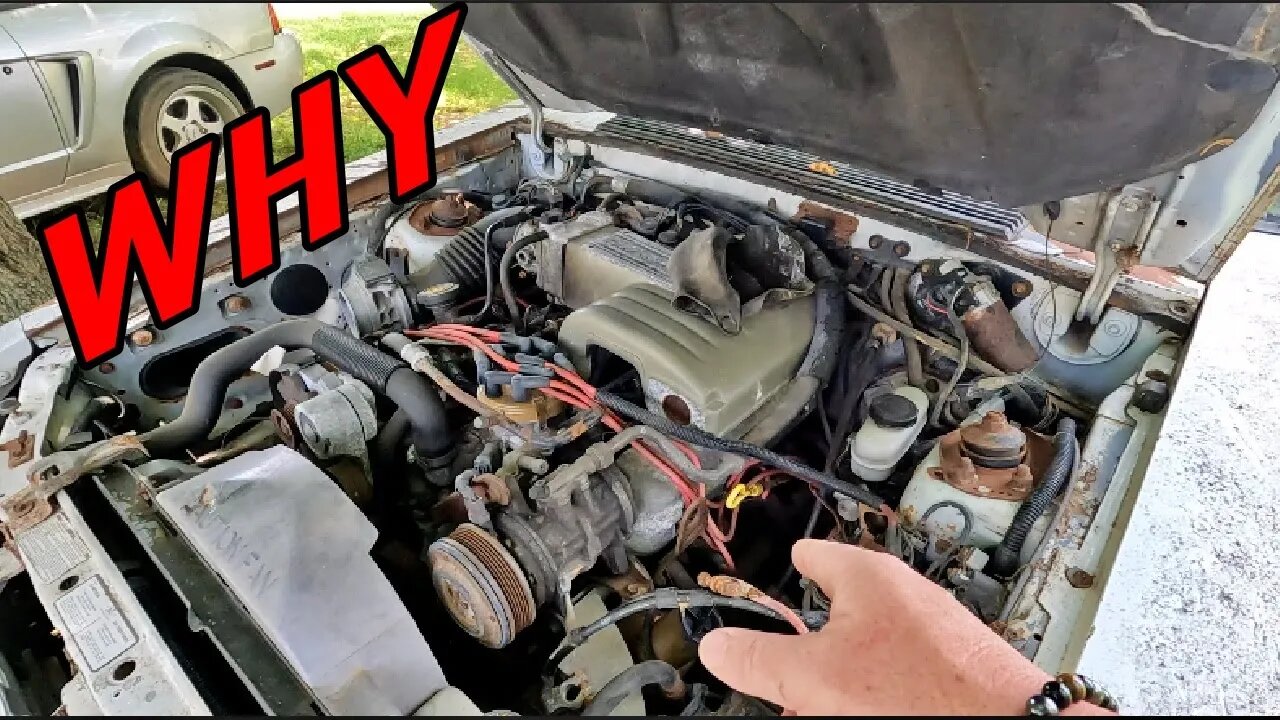 Why do we drag rusty pieces of sh*t fox body mustangs out of the woods!