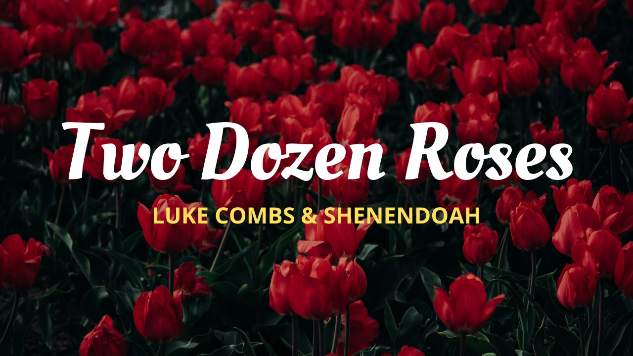 Two Dozen Roses - Luke Combs & Shenandoah (Lyrics)