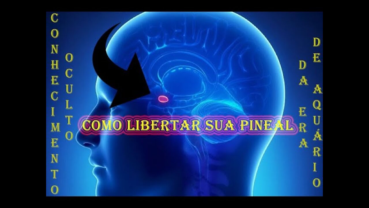 Como descalcificar sua GLÂNDULA PINEAL (LUIZ & CAMILA)