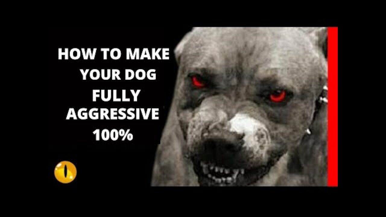 AGGRESSIVE DOG TRAINING SIMPLE 100%