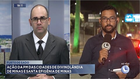 Furto de gado: Ação da PM das cidades de Divinolândia de Minas e Santa Efigênia de Minas.