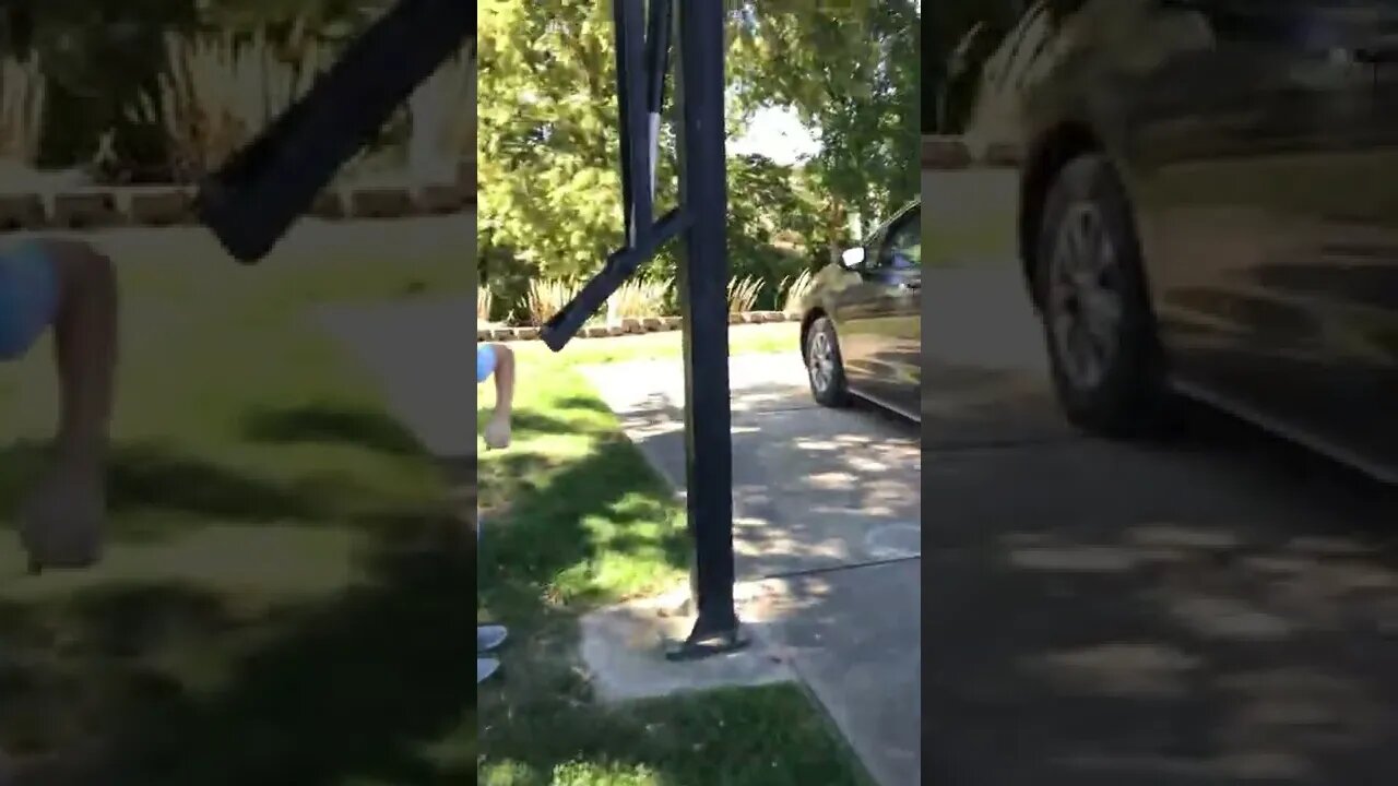 LonelyCreek dogs on the rd again !